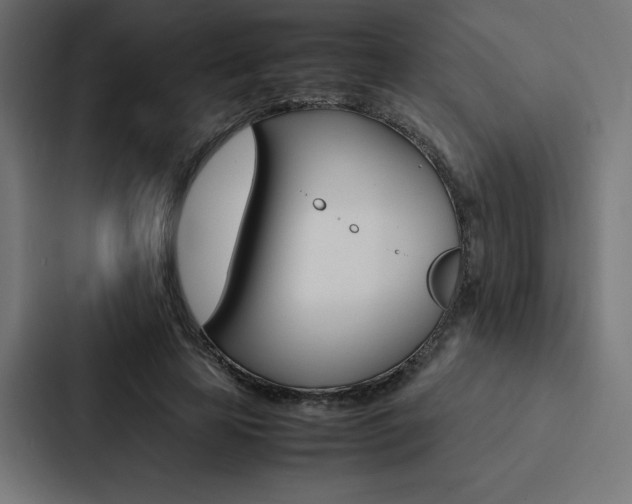 X0000088190641200705151000