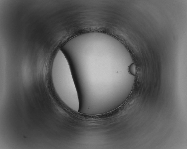 X0000088190642200705151000