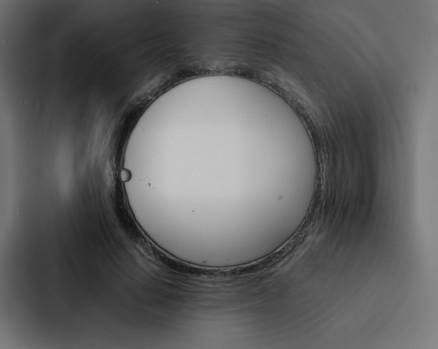 X0000088190644200705151000