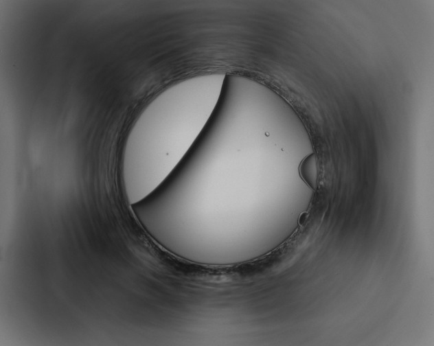 X0000088190646200705151000