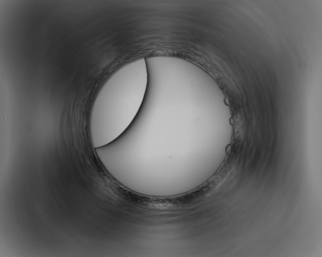 X0000088190650200705151000