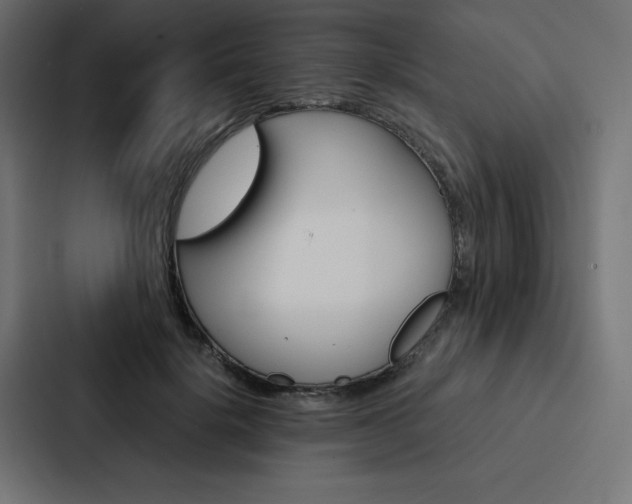 X0000088190652200705151000