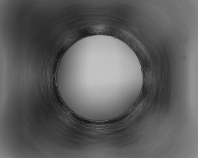 X0000088190653200705151000