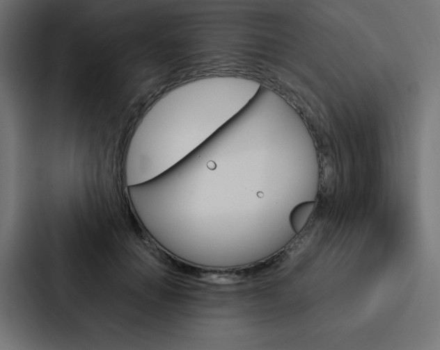 X0000088190654200705151000