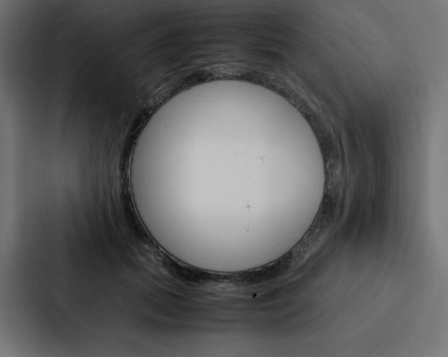 X0000088190655200705151000
