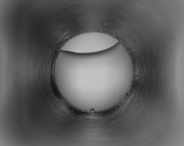 X0000088190656200705151000