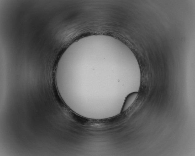 X0000088190658200705151000