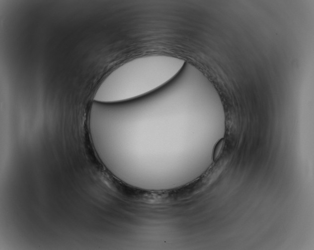 X0000088190660200705151000