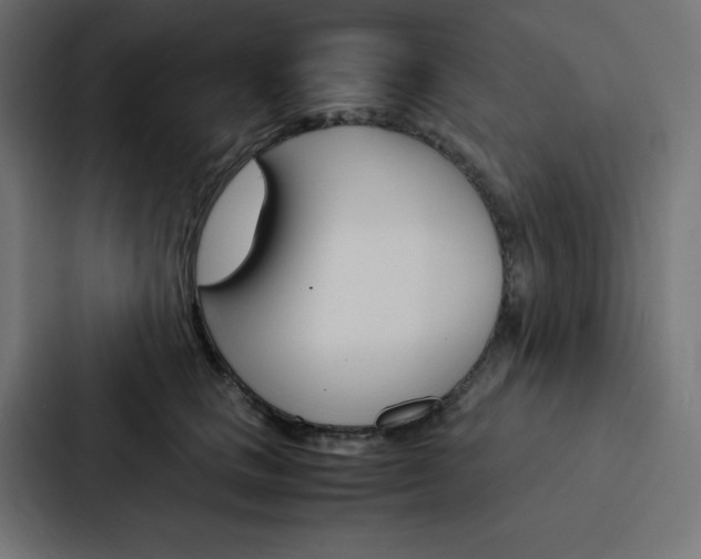 X0000088190661200705151000