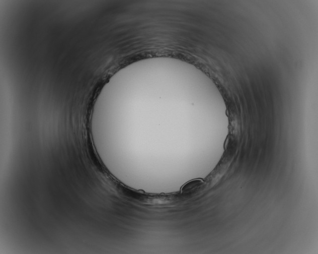 X0000088190662200705151000