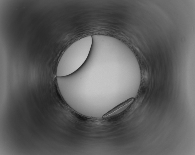 X0000088190663200705151000
