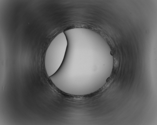 X0000088190666200705151000