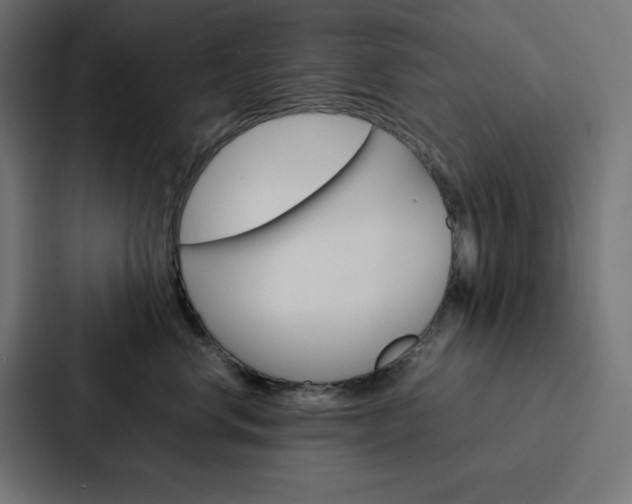X0000088190668200705151000