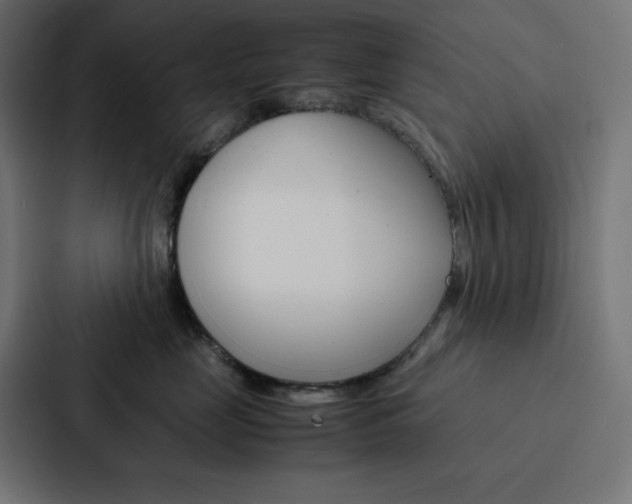 X0000088190669200705151000