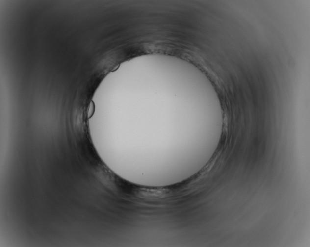 X0000088190671200705151000