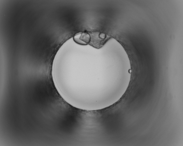 X0000088190672200705151000