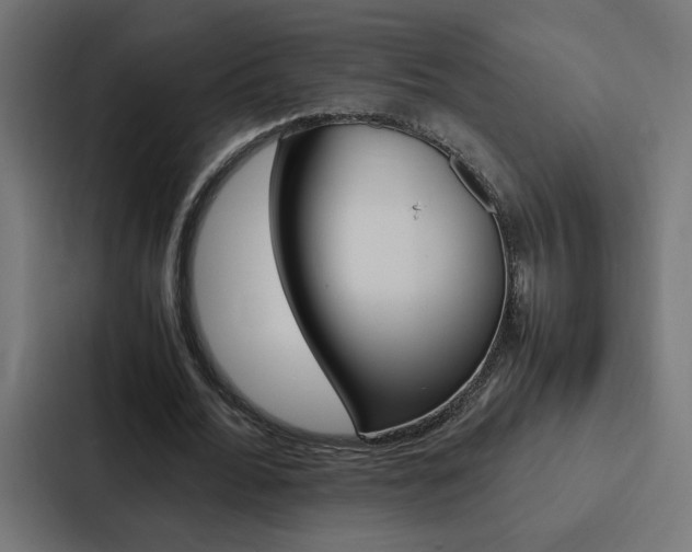 X0000088190676200705151000