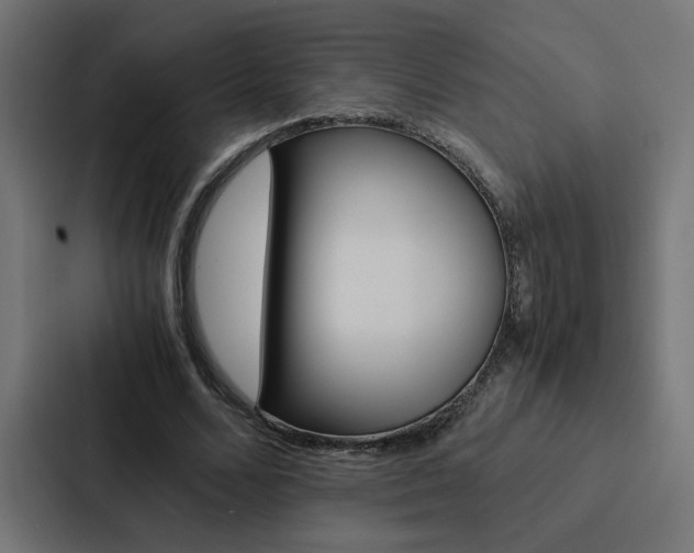 X0000088190680200705151000