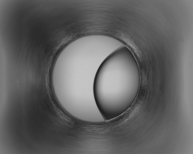 X0000088190681200705151000