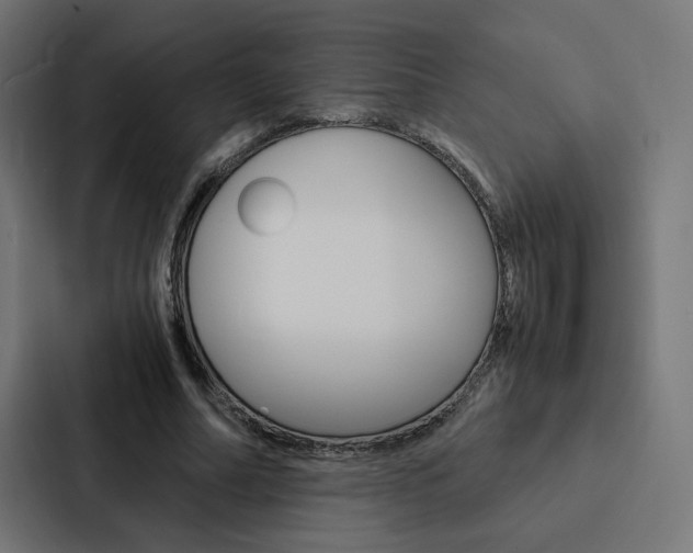 X0000088190682200705151000