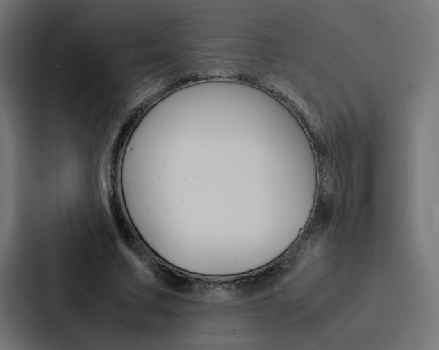 X0000088190683200705151000