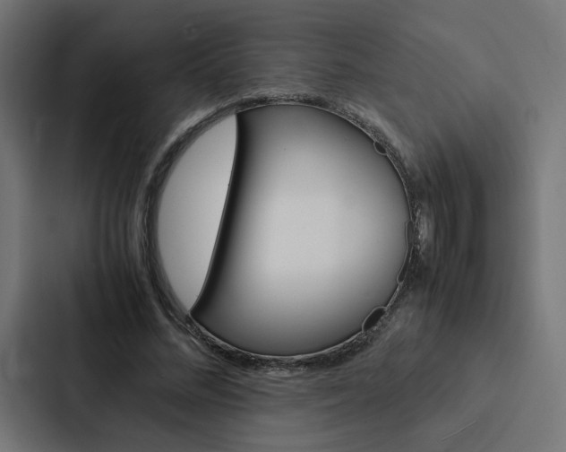 X0000088190684200705151000
