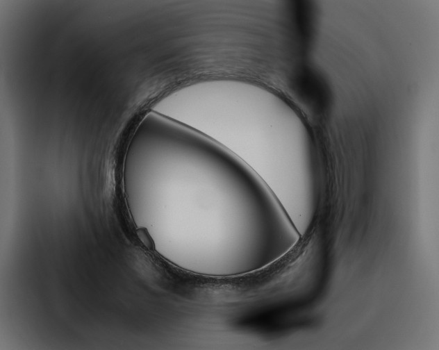 X0000088190685200705151000