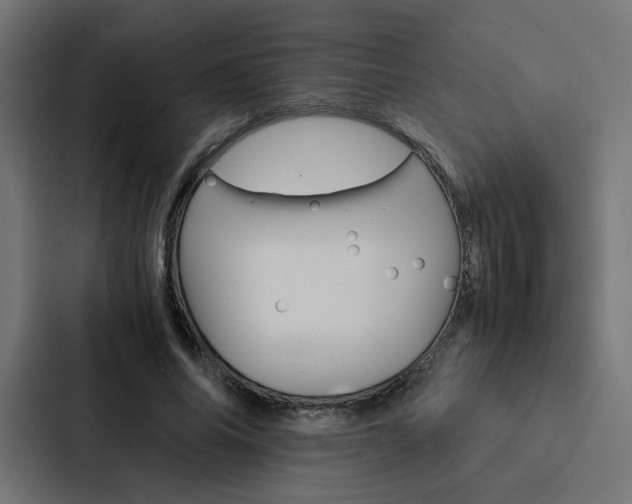 X0000088190686200705151000