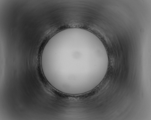 X0000088190690200705150959