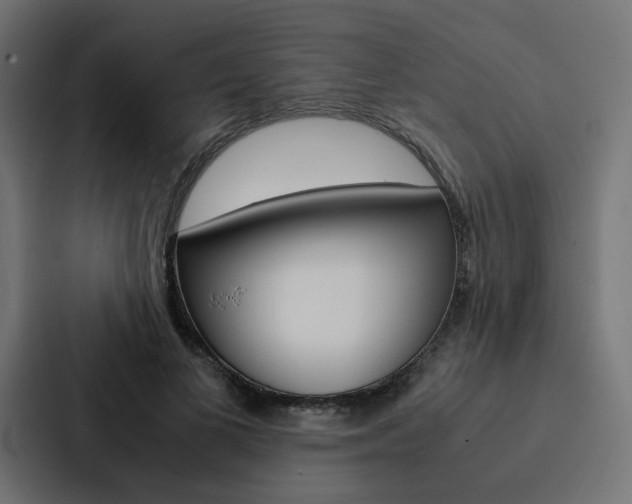 X0000088190693200705150959