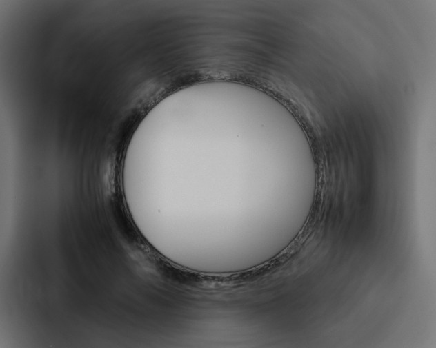 X0000088190694200705150959