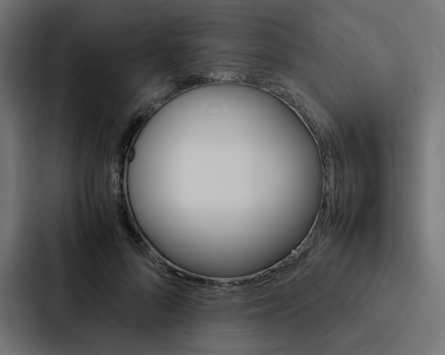 X0000088190696200705150959