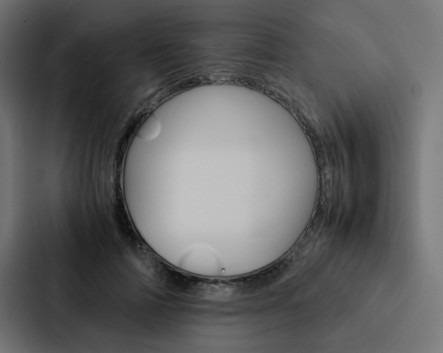 X0000088190698200705150959