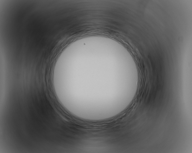 X0000088190701200705150959