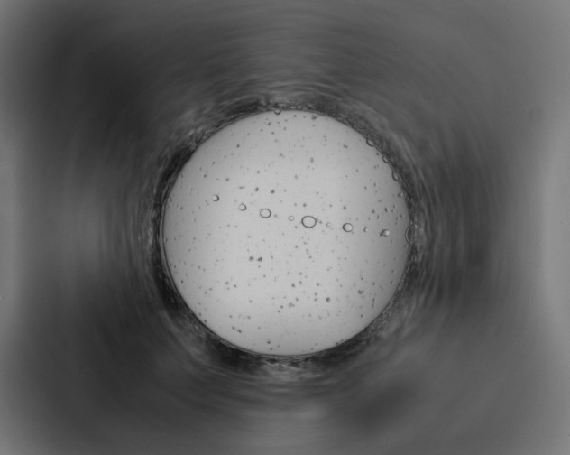 X0000088190703200705150959