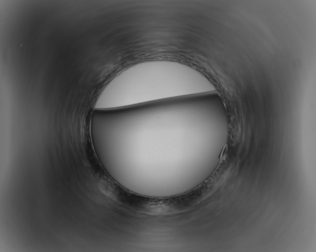 X0000088190704200705150959