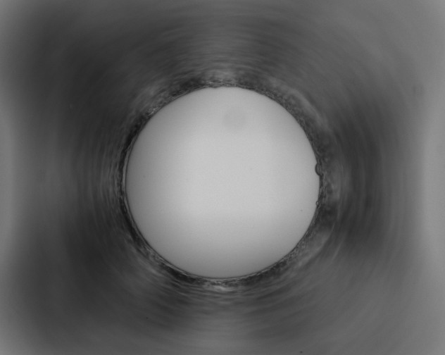 X0000088190706200705150959