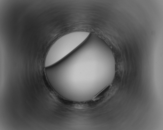 X0000088190708200705150959