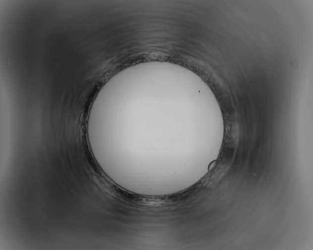 X0000088190710200705150959