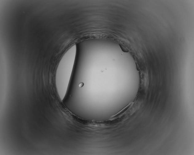 X0000088190712200705150959