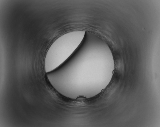 X0000088190715200705150959