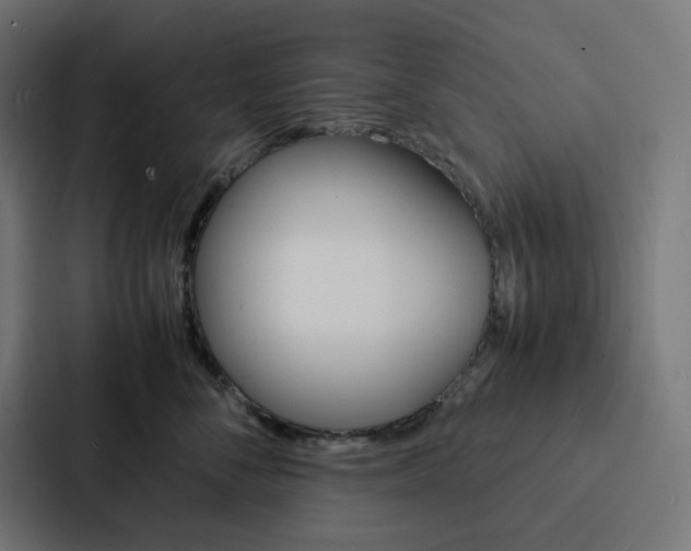X0000088190716200705150959