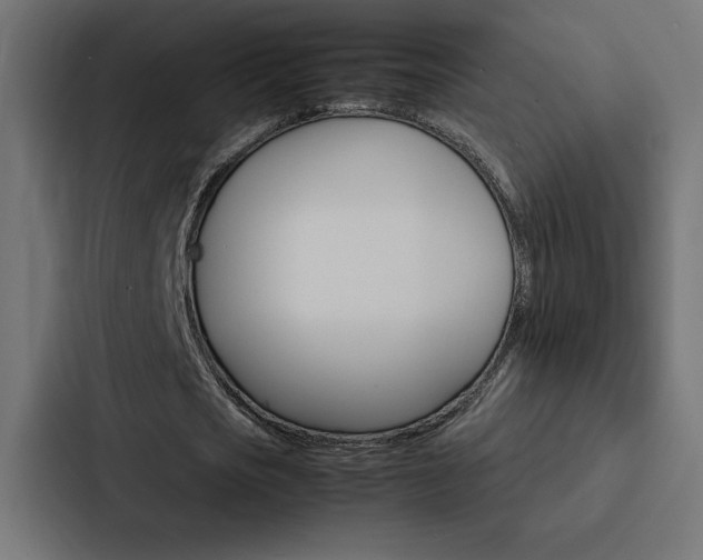 X0000088190721200705150958
