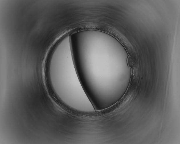 X0000088190722200705150959