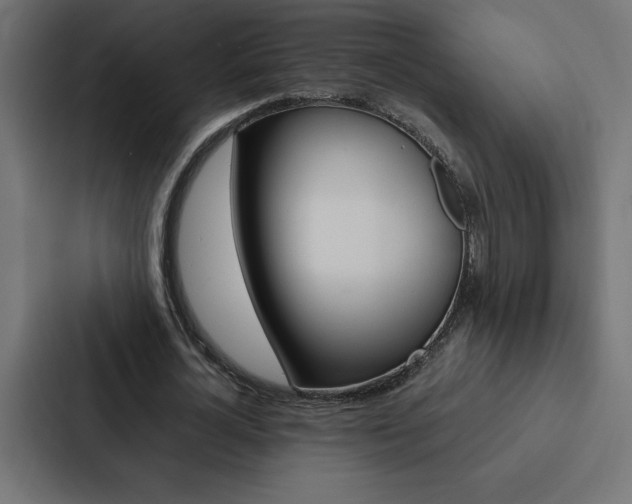 X0000088190724200705150959