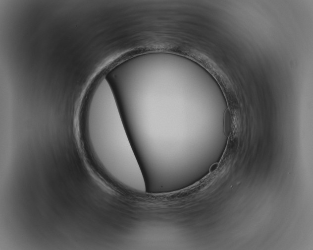 X0000088190726200705150959