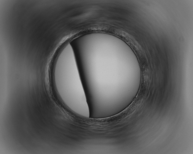X0000088190727200705150959