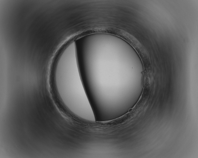 X0000088190728200705150959