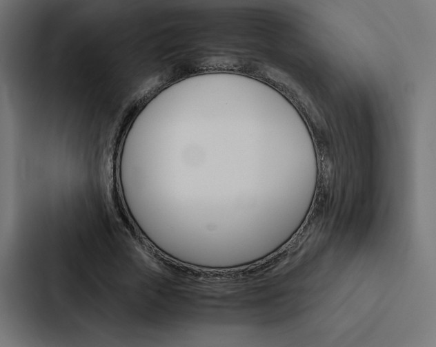 X0000088190729200705150959