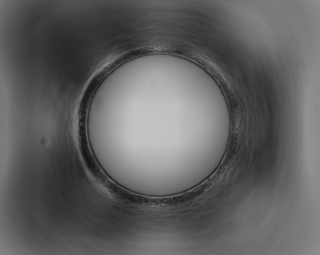 X0000088190730200705150959
